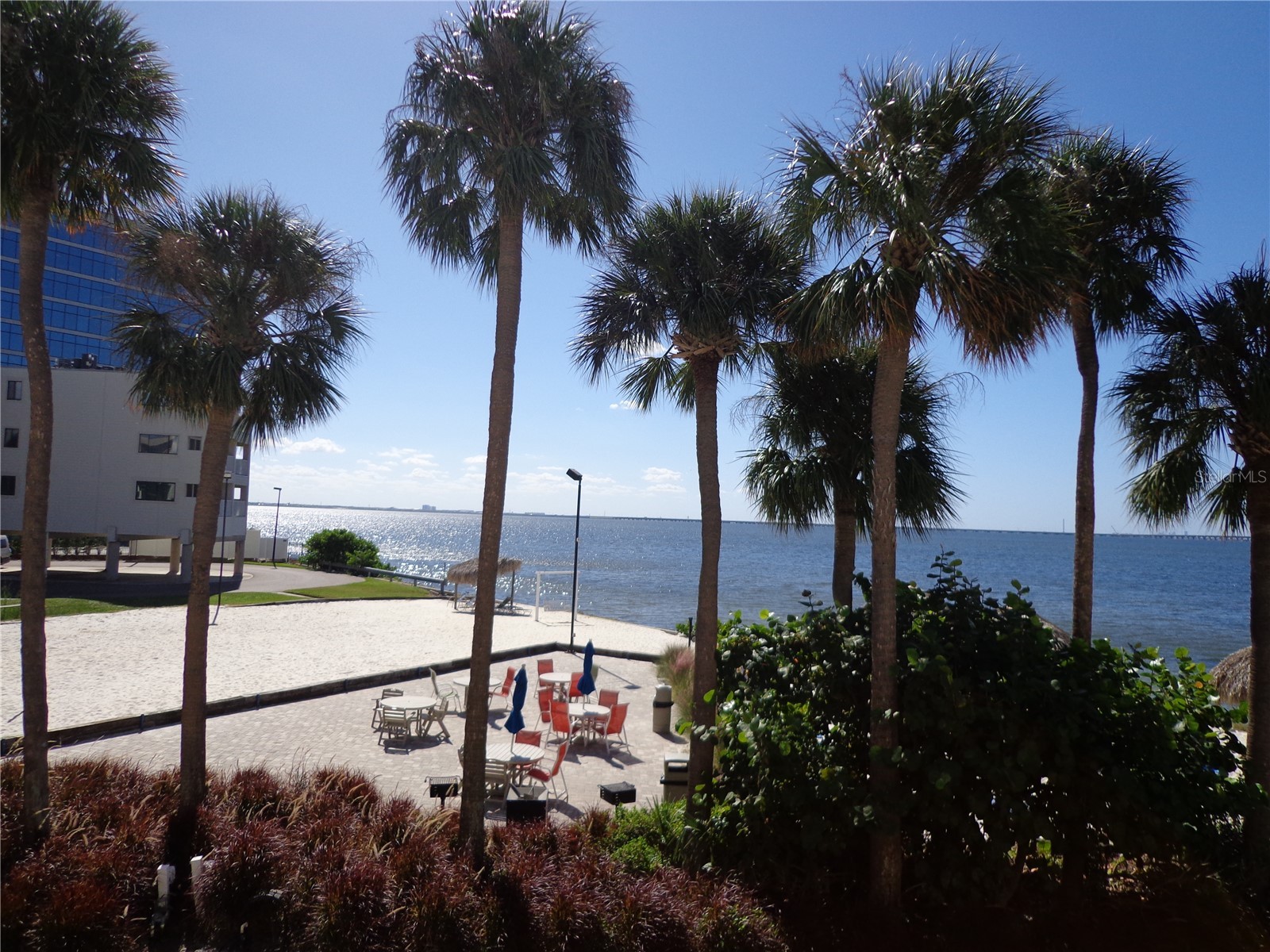2506 N Rocky Point Drive #229 Tampa FL 33607 TB8429969 image29