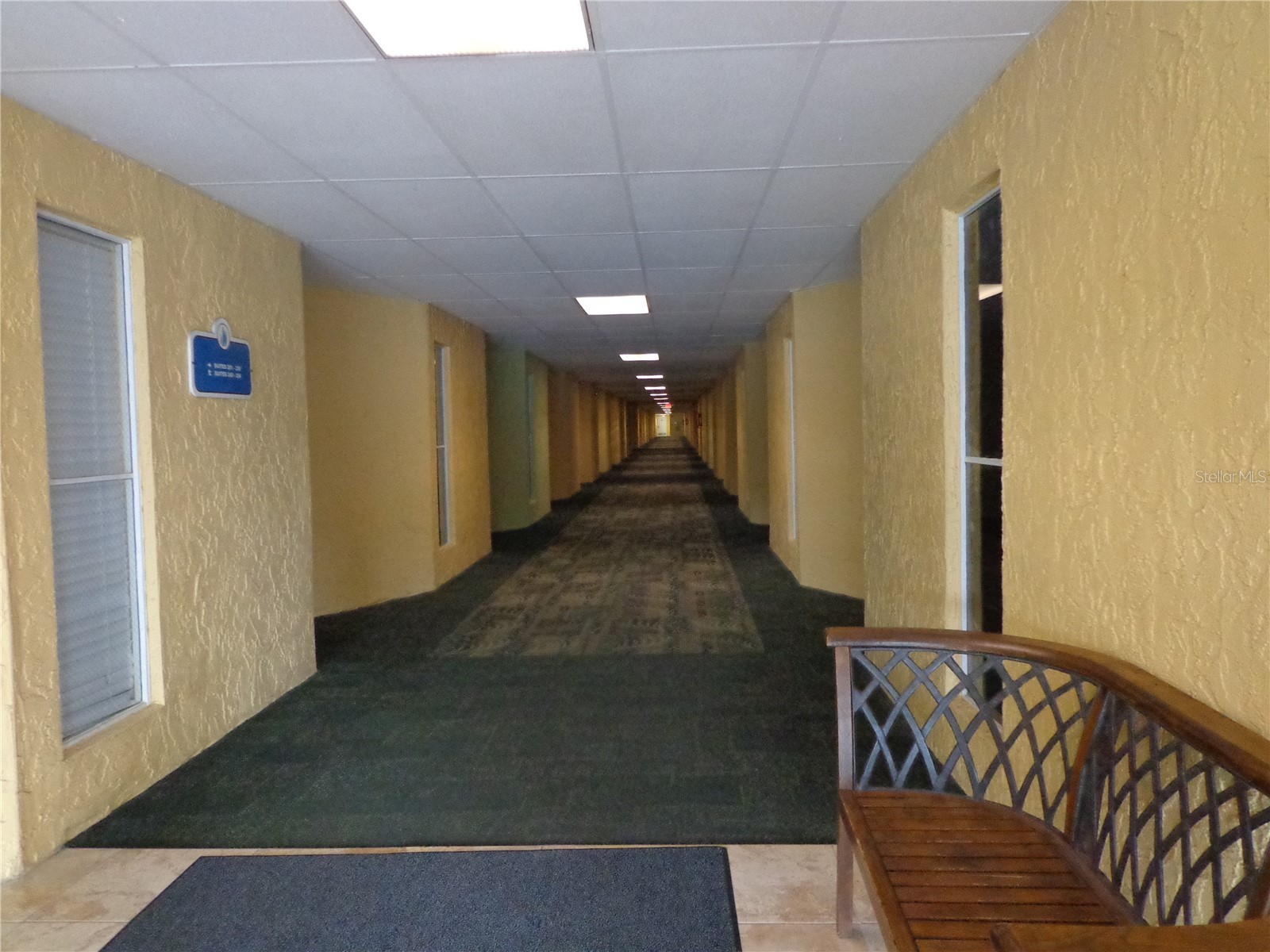 2506 N Rocky Point Drive #229 Tampa FL 33607 TB8429969 image4