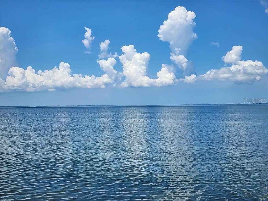 2506 N Rocky Point Drive #237 Tampa FL 33607 TB8435995 image14