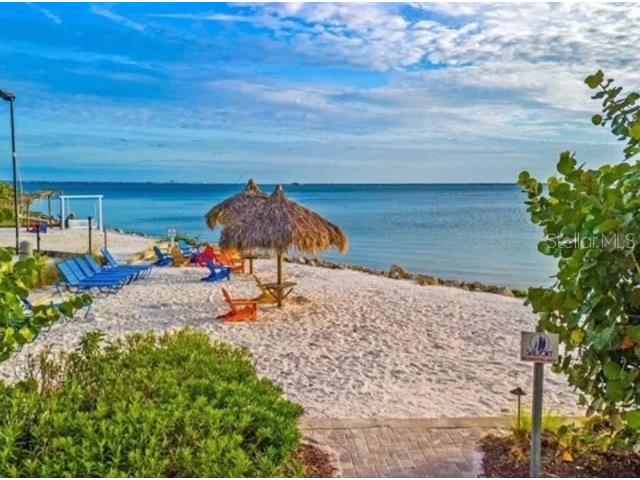 2506 N Rocky Point Drive #237 Tampa FL 33607 TB8435995 image15