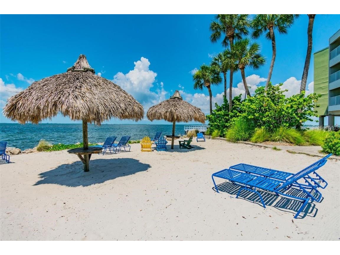 2506 N Rocky Point Drive #237 Tampa FL 33607 TB8435995 image22