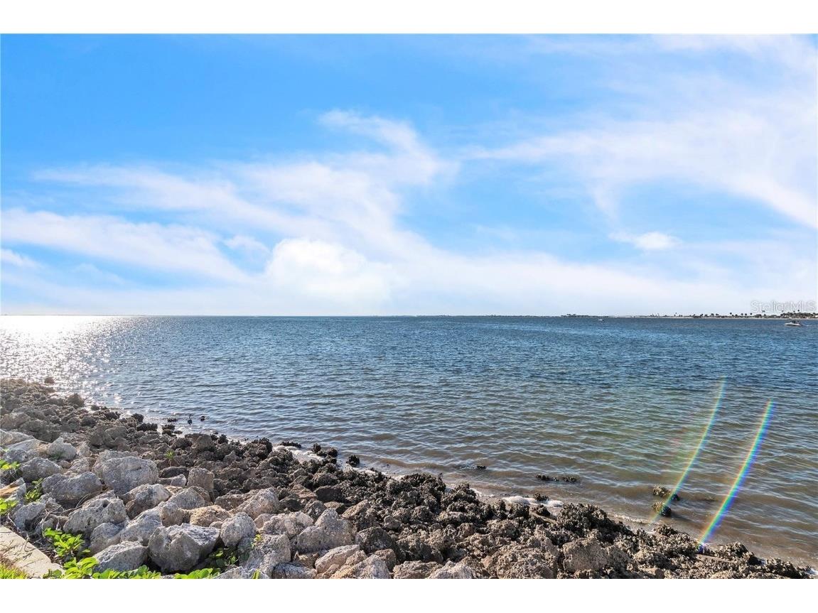 2506 N Rocky Point Drive #237 Tampa FL 33607 TB8435995 image23