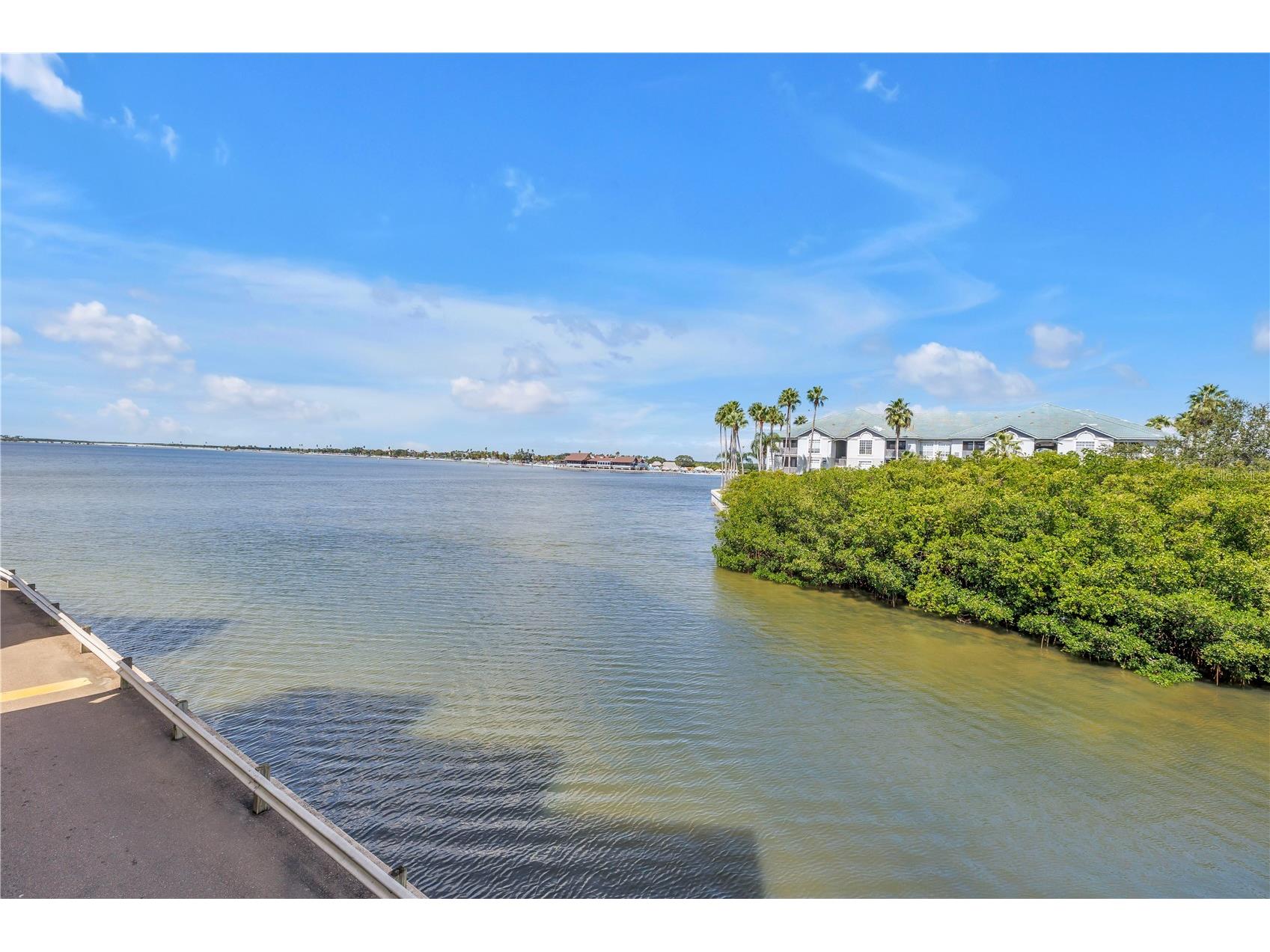 2506 N Rocky Point Drive #272 Tampa FL 33607 TB8432718 image23