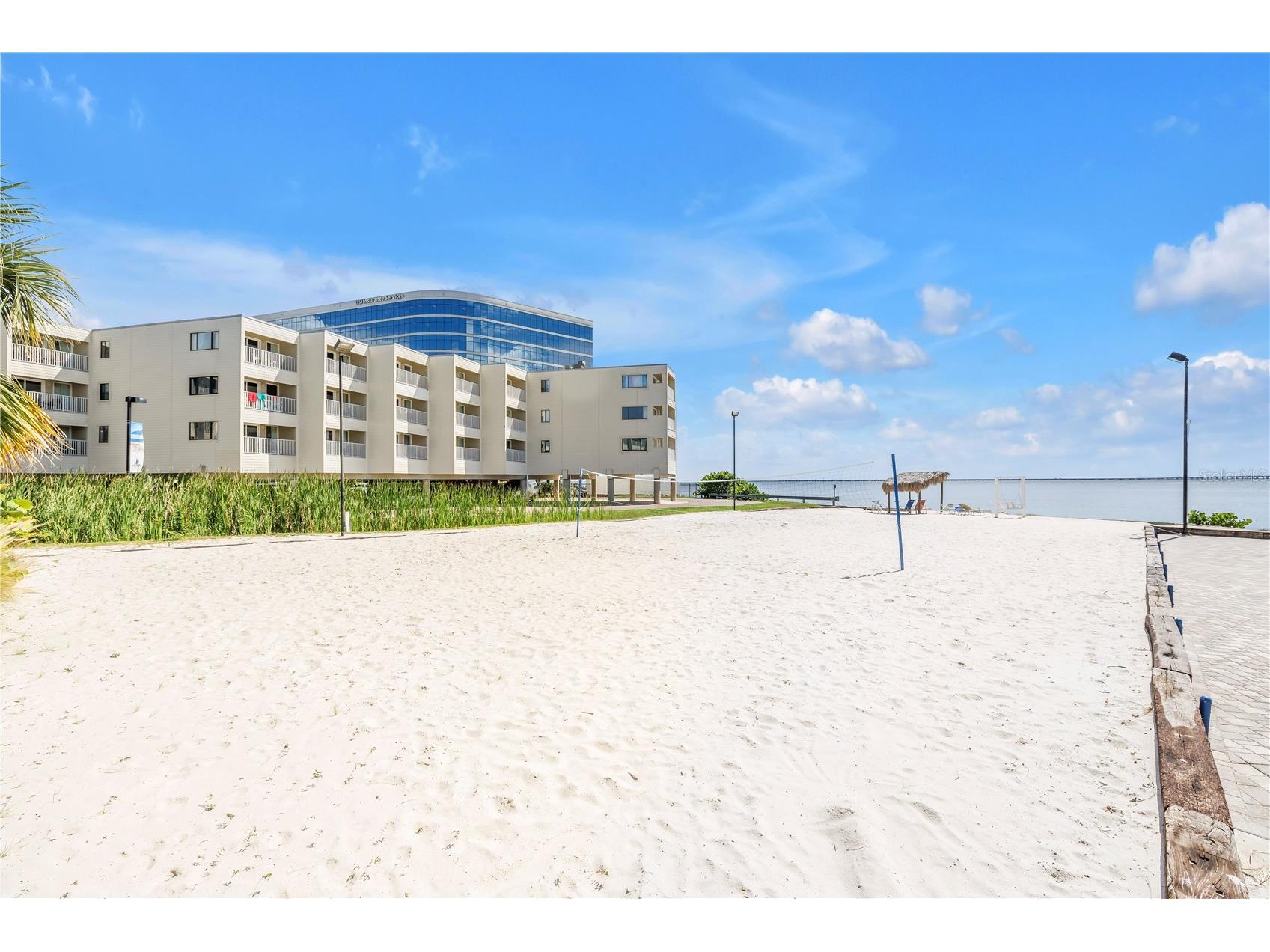 2506 N Rocky Point Drive #272 Tampa FL 33607 TB8432718 image27