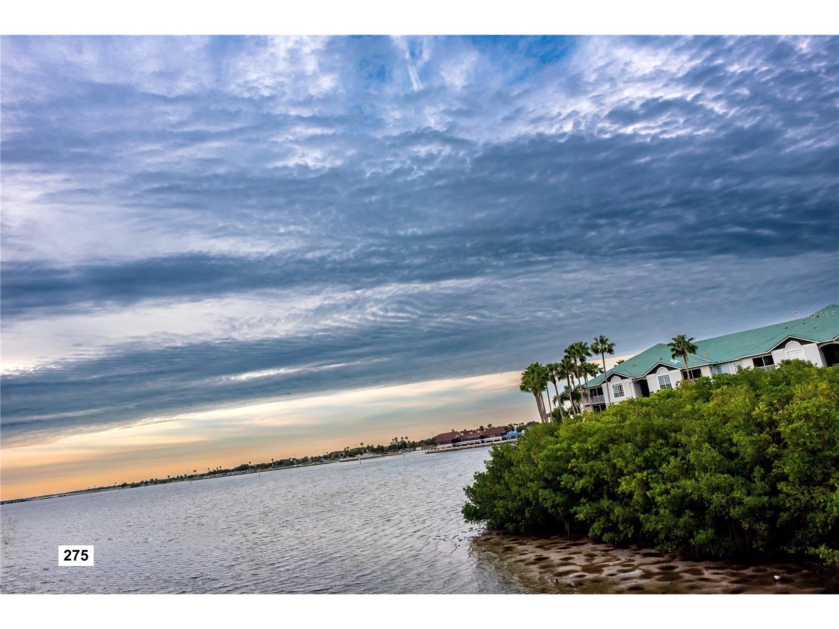 2506 N Rocky Point Drive #331 AND 275 Tampa FL 33607 - TAMPA BAY TB8489203 image37
