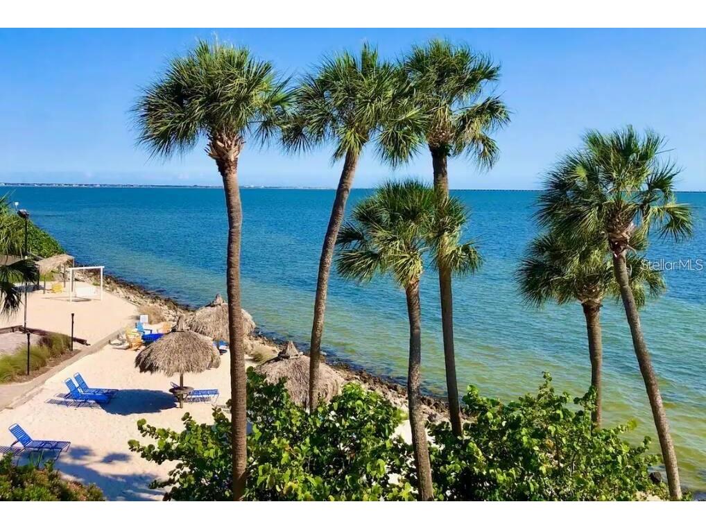 2506 N Rocky Point Drive #335 Tampa FL 33607 - TAMPA BAY TB8518113 image14