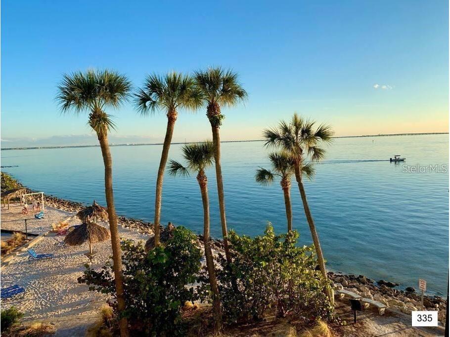 2506 N Rocky Point Drive #335 Tampa FL 33607 - TAMPA BAY TB8518113 image3