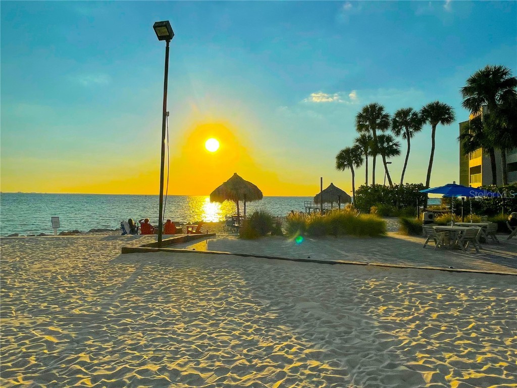 2506 N Rocky Point Drive #341 Tampa FL 33607 - TAMPA BAY TB8459197 image16