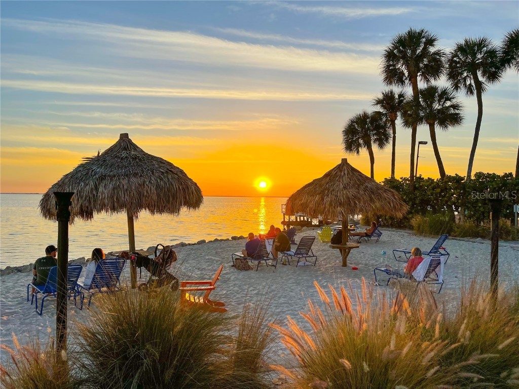 2506 N Rocky Point Drive #341 Tampa FL 33607 - TAMPA BAY TB8459197 image25