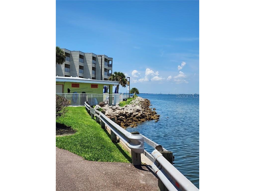 2506 N Rocky Point Drive #356 Tampa FL 33607 U8252189 image26