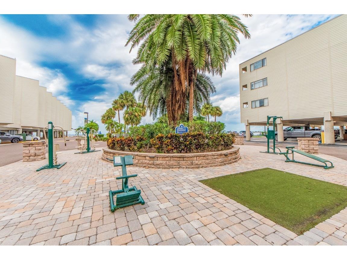 2506 N Rocky Point Drive #356 Tampa FL 33607 U8252189 image9