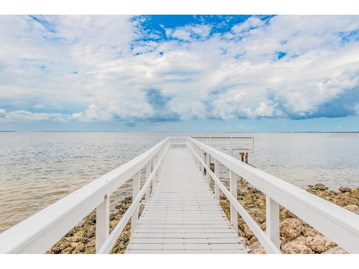 2506 N Rocky Point Drive #358 Tampa FL 33607 TB8355332 image36