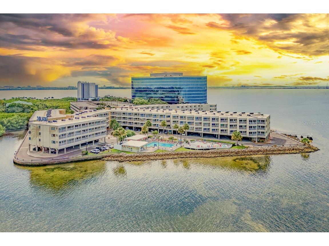 2506 N Rocky Point Drive #358 Tampa FL 33607 TB8355332 image4