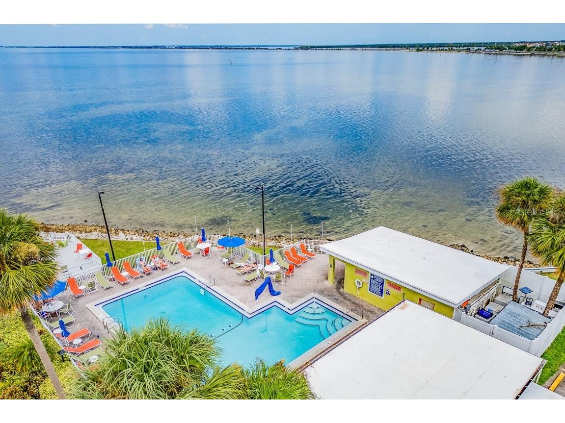 2506 N Rocky Point Drive #358 Tampa FL 33607 TB8355332 image7
