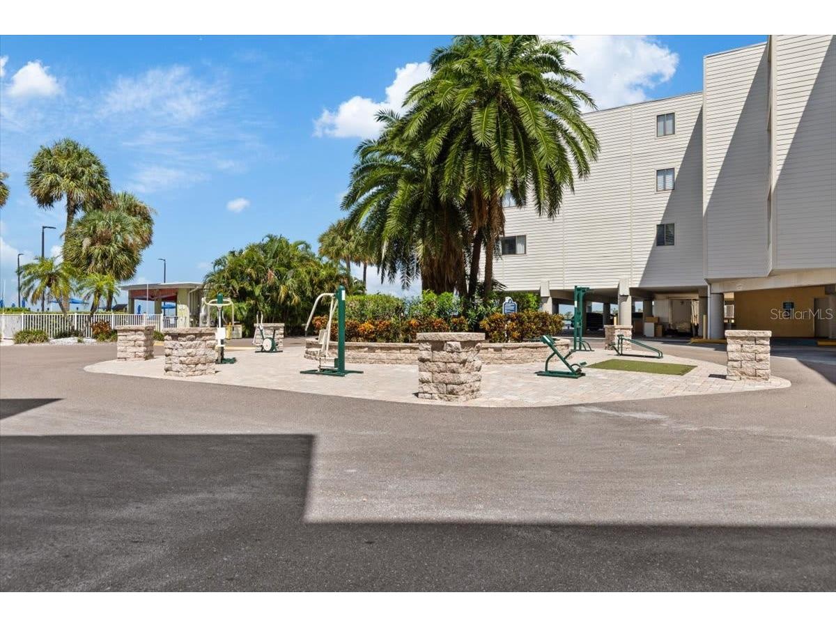 2506 N Rocky Point Drive #369 Tampa FL 33607 TB8483372 image29