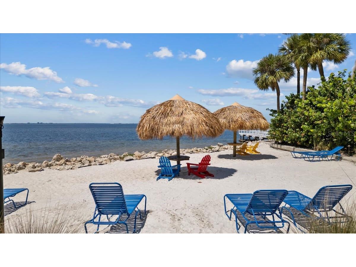 2506 N Rocky Point Drive #369 Tampa FL 33607 TB8483372 image32