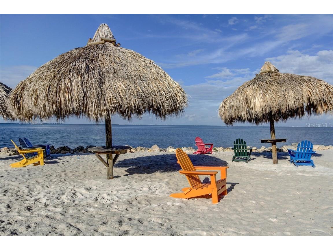 2506 N Rocky Point Drive #457 Tampa FL 33607 TB8414778 image14