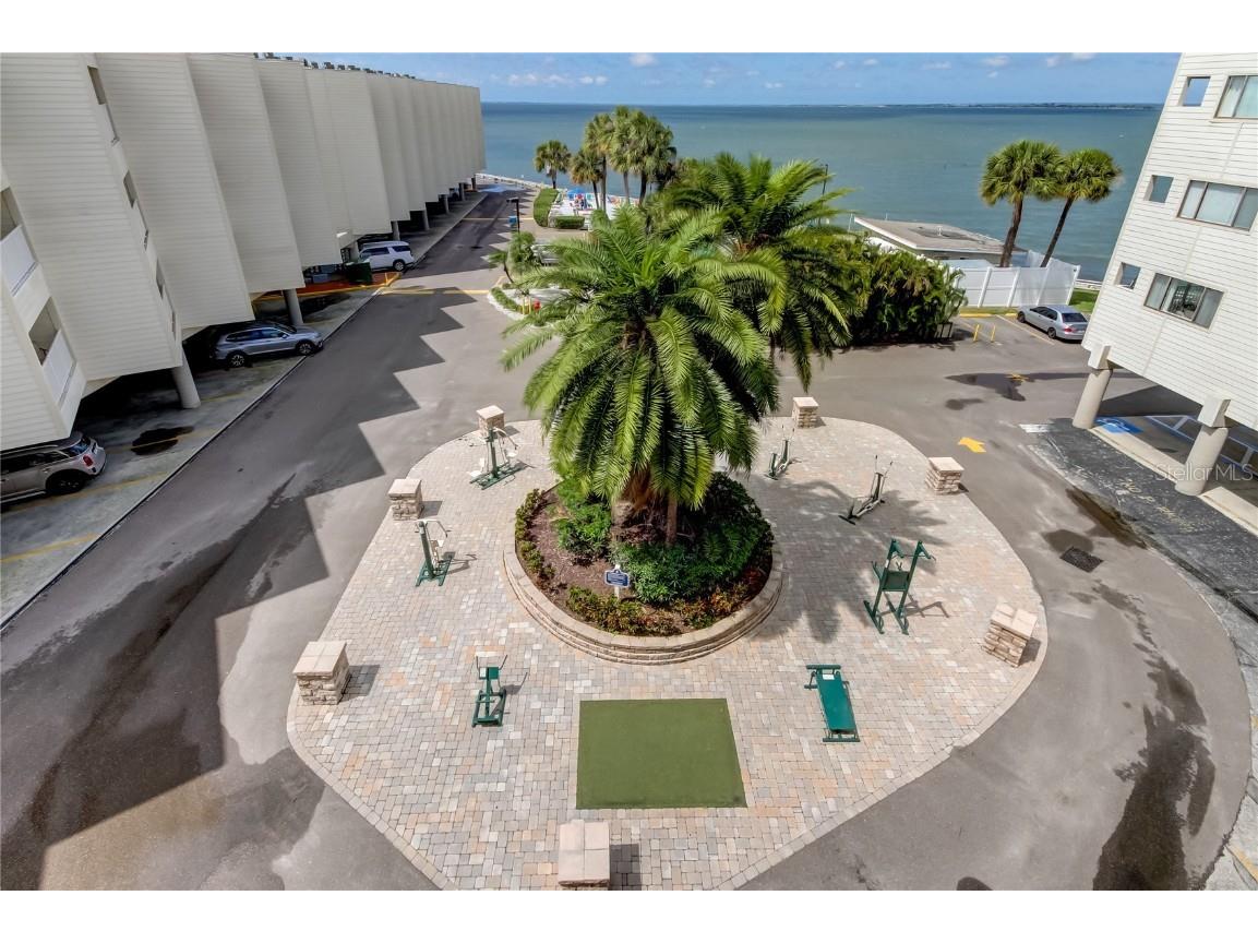 2506 N Rocky Point Drive #457 Tampa FL 33607 TB8414778 image23