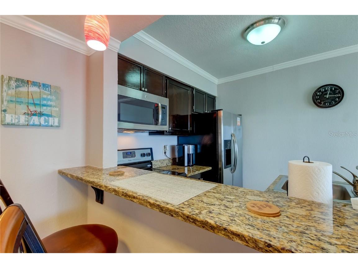 2506 N Rocky Point Drive #457 Tampa FL 33607 TB8414778 image4