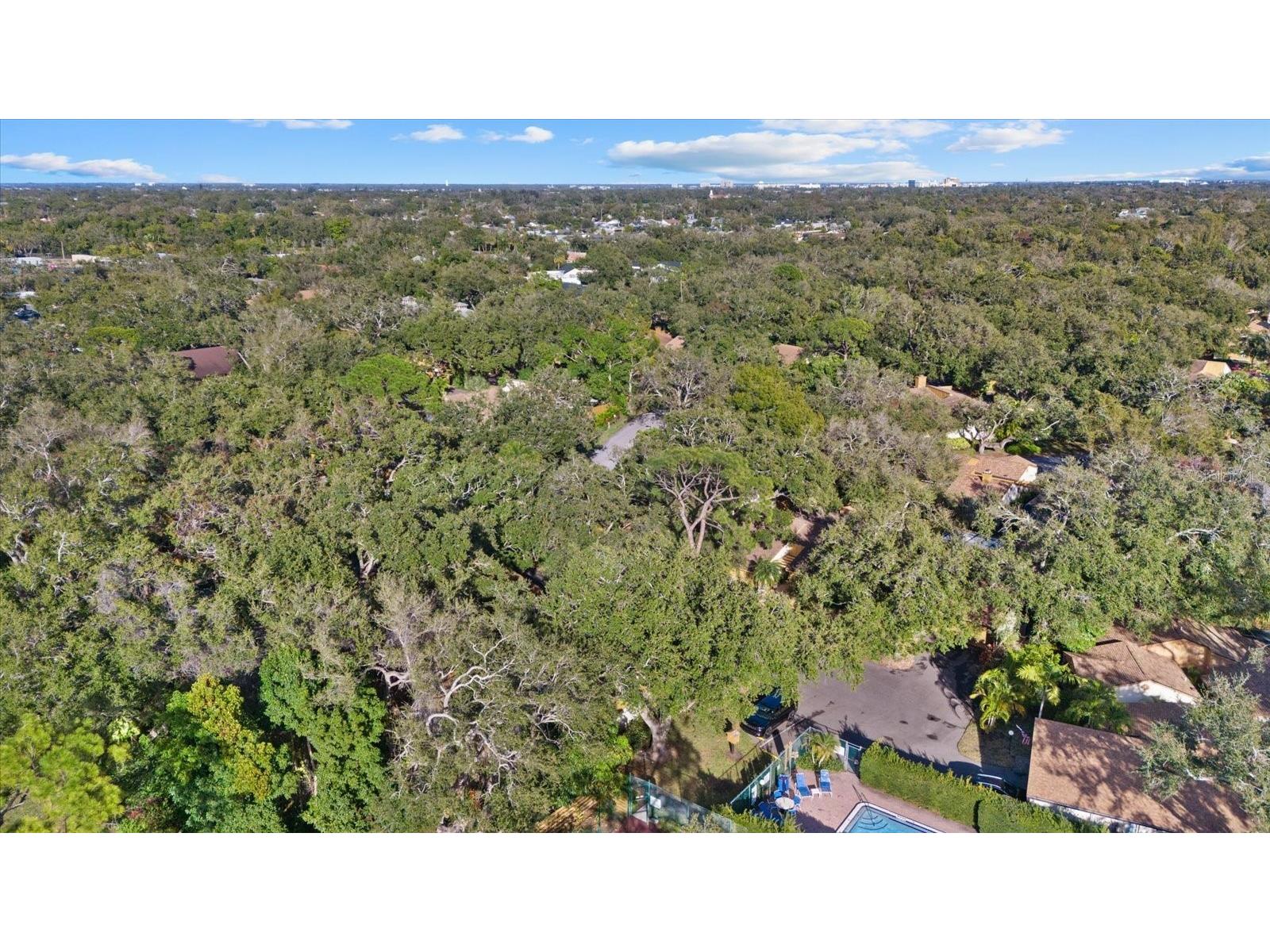 2506 Songbird Lane #46 Bradenton FL 34209 A4678857 image53