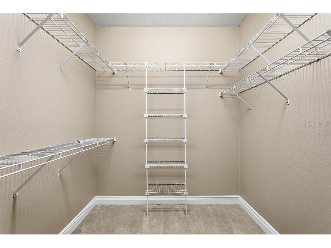 2506 W Ivy Street Tampa FL 33607 TB8438977 image32