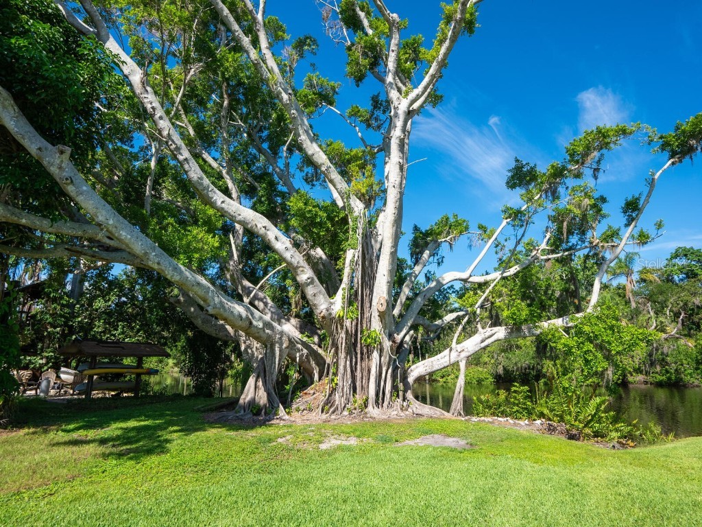 2506 Wilkinson Road Sarasota FL 34231 - PHILLIPPI CREEK A4658788 image4