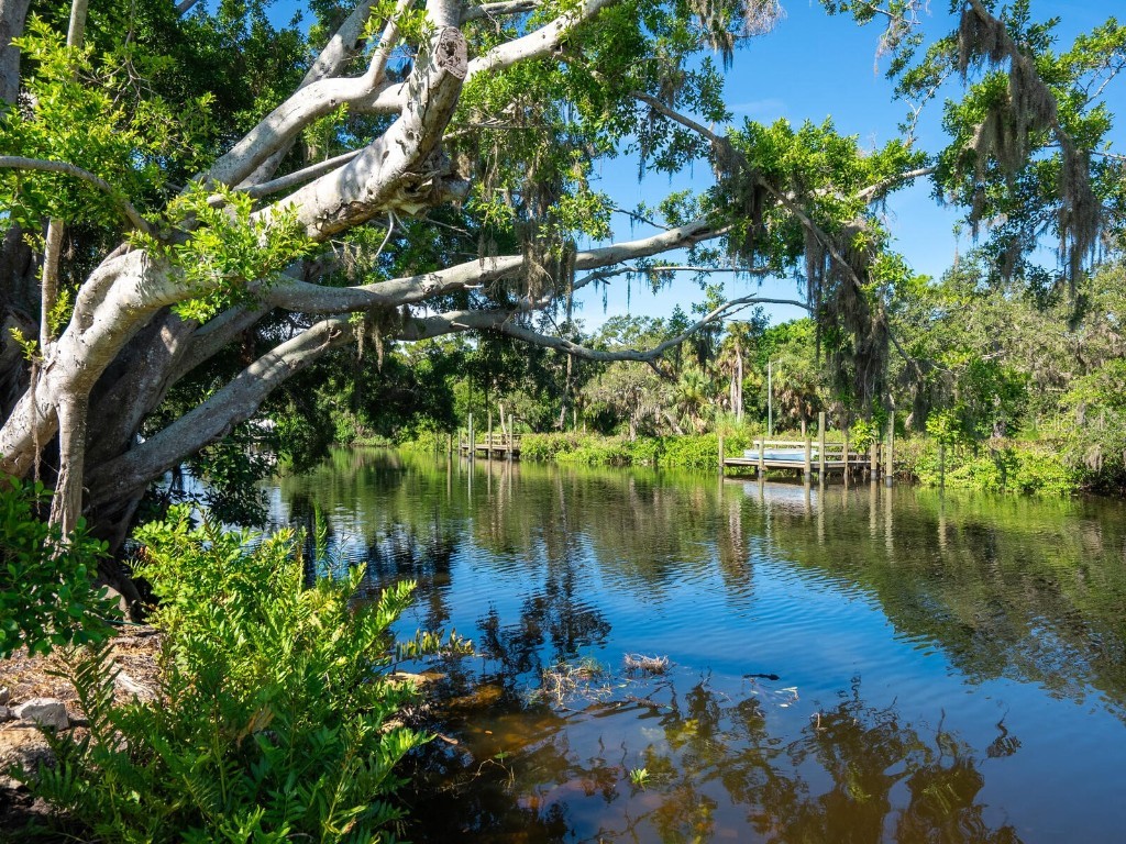 2506 Wilkinson Road Sarasota FL 34231 - PHILLIPPI CREEK A4658788 image5