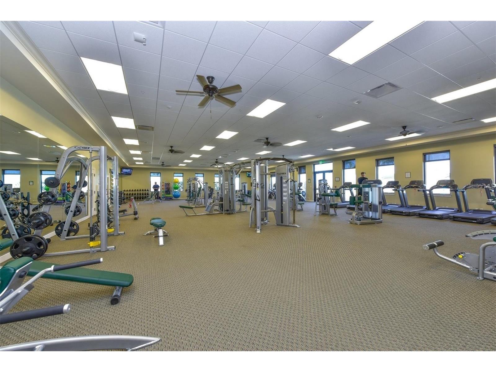 25060 Spartina Drive Venice FL 34293 N6144115 image77