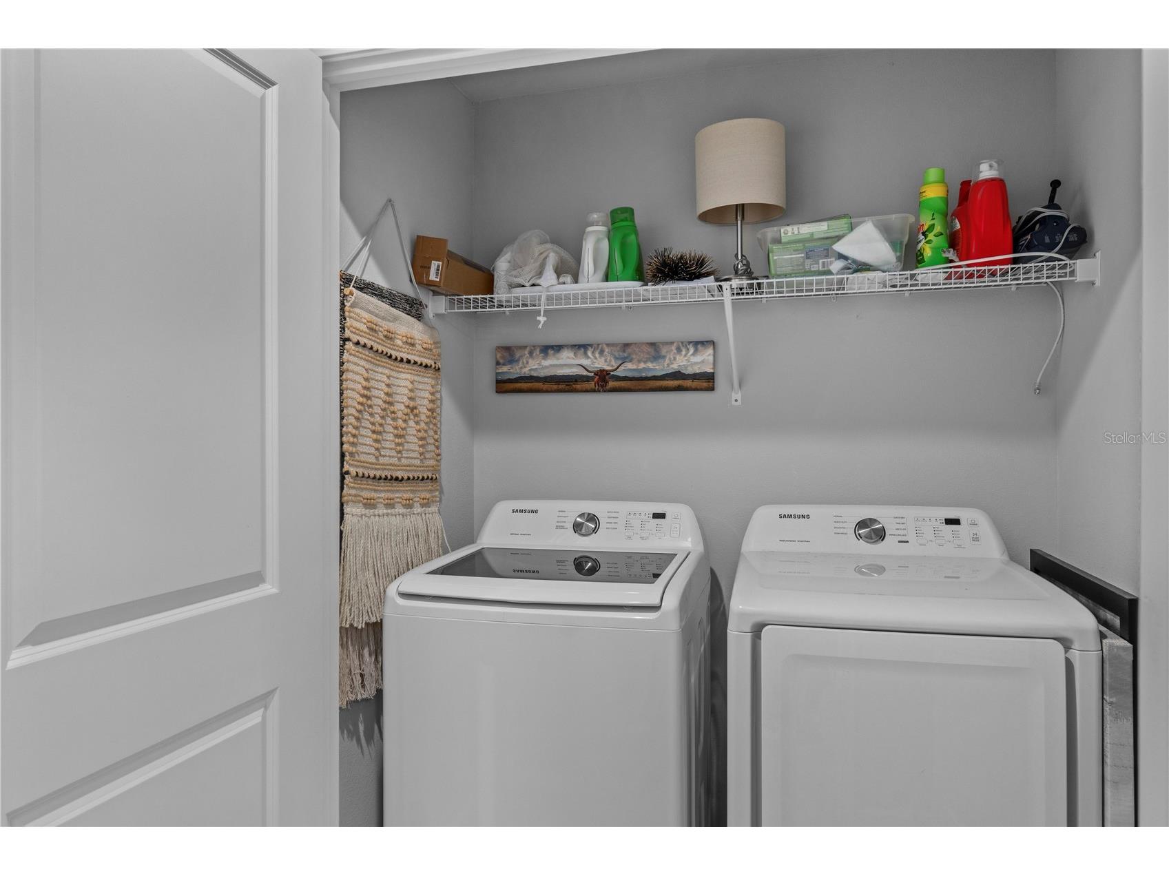 2507 Arbor Wind Drive Lutz FL 33558 TB8506539 image21