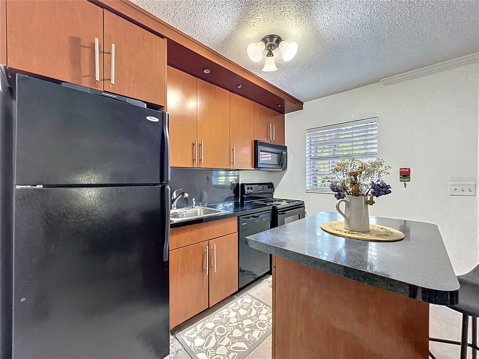 2507 E Central Boulevard #22 Orlando FL 32803 O6404898 image11