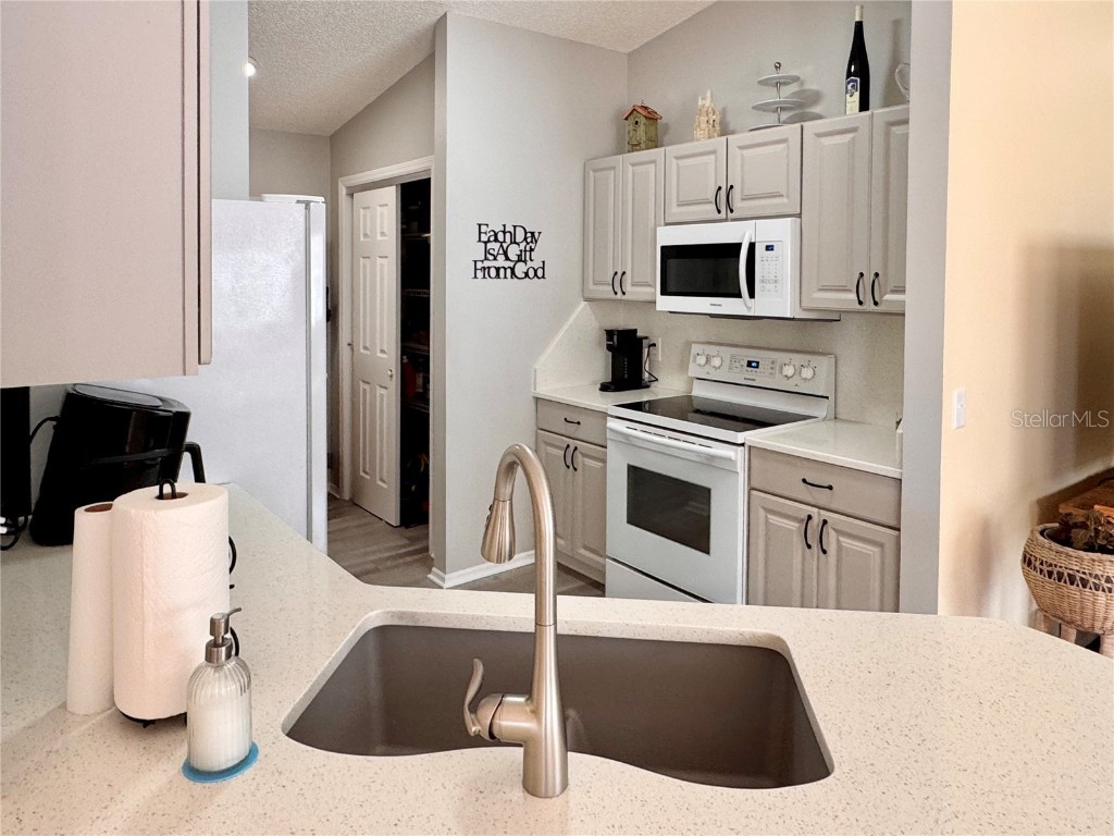 2507 Everwood Court The Villages FL 32162 G5105208 image10