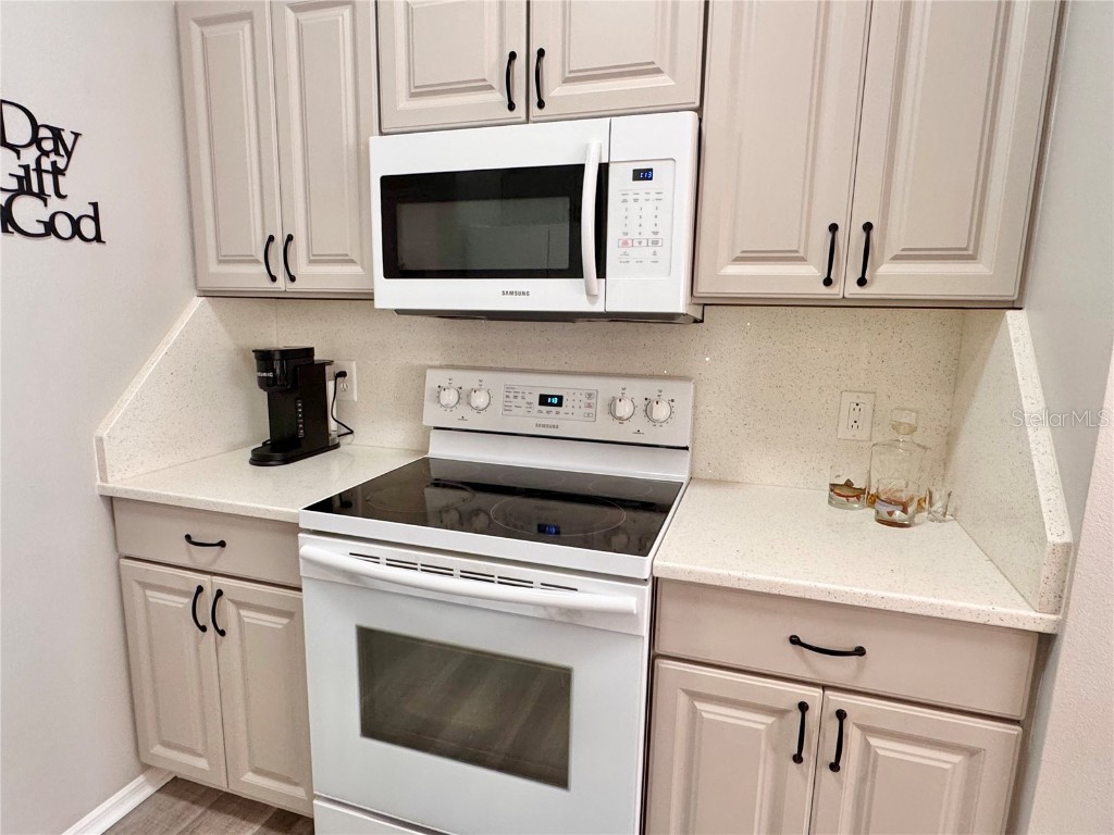 2507 Everwood Court The Villages FL 32162 G5105208 image12