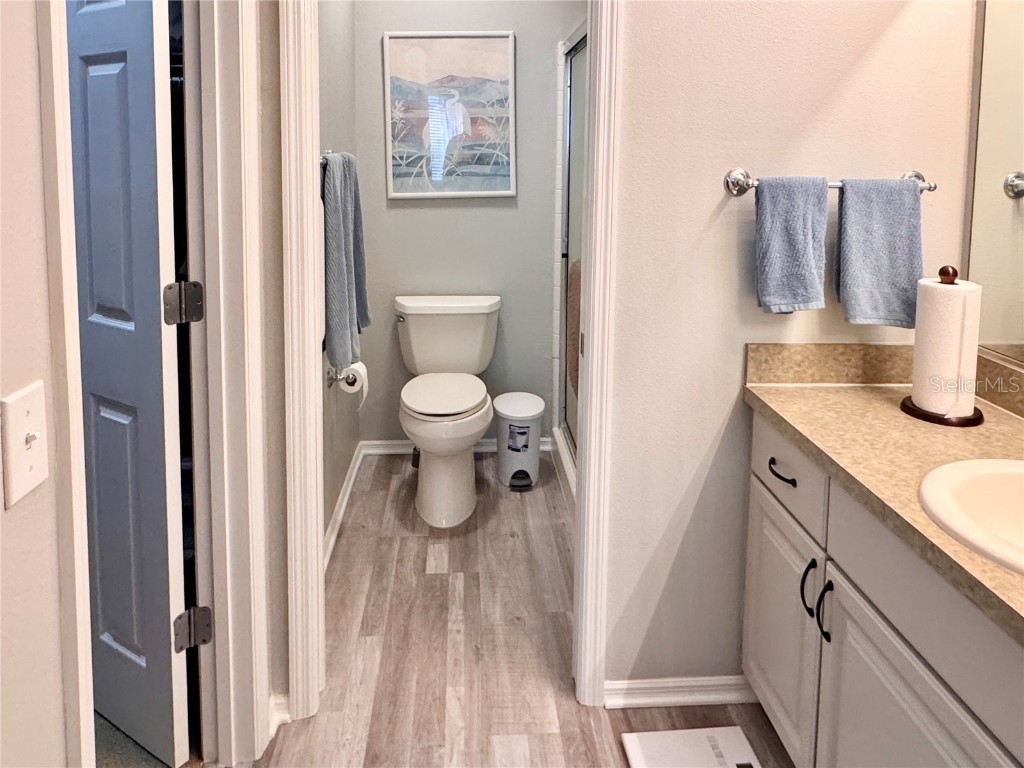 2507 Everwood Court The Villages FL 32162 G5105208 image22