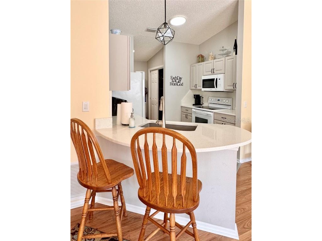 2507 Everwood Court The Villages FL 32162 G5105208 image8