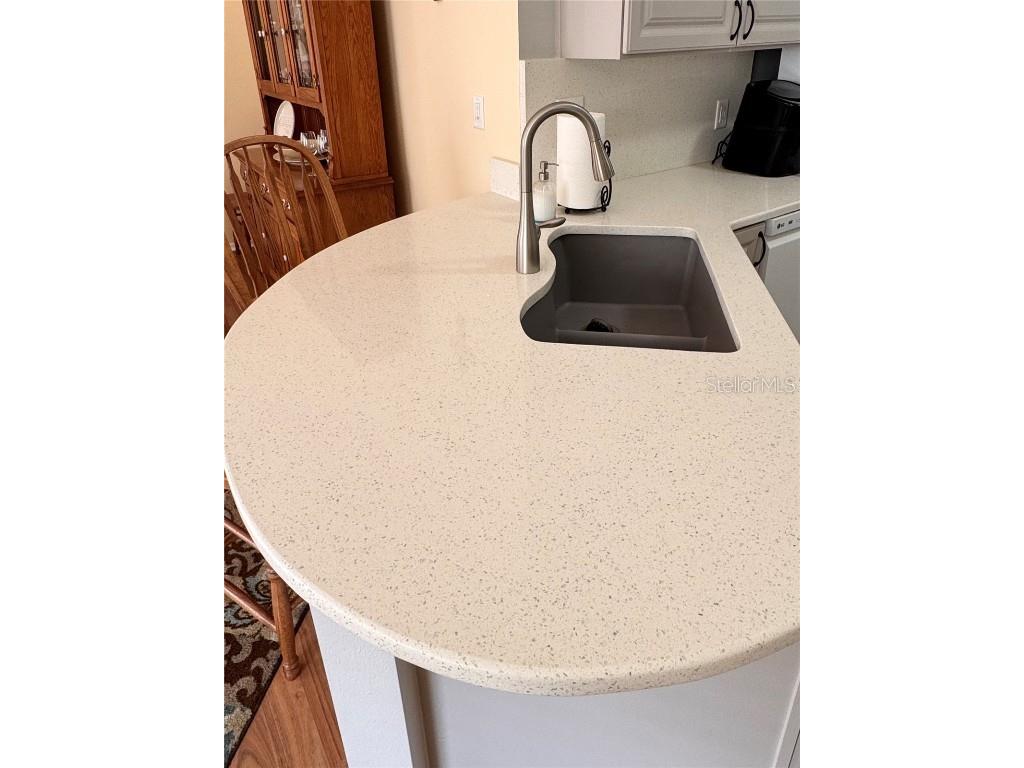 2507 Everwood Court The Villages FL 32162 G5105208 image9