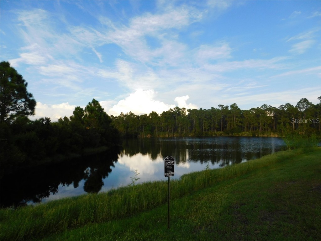 2507 Hobblebrush Drive North Port FL 34289 TB8435324 image24