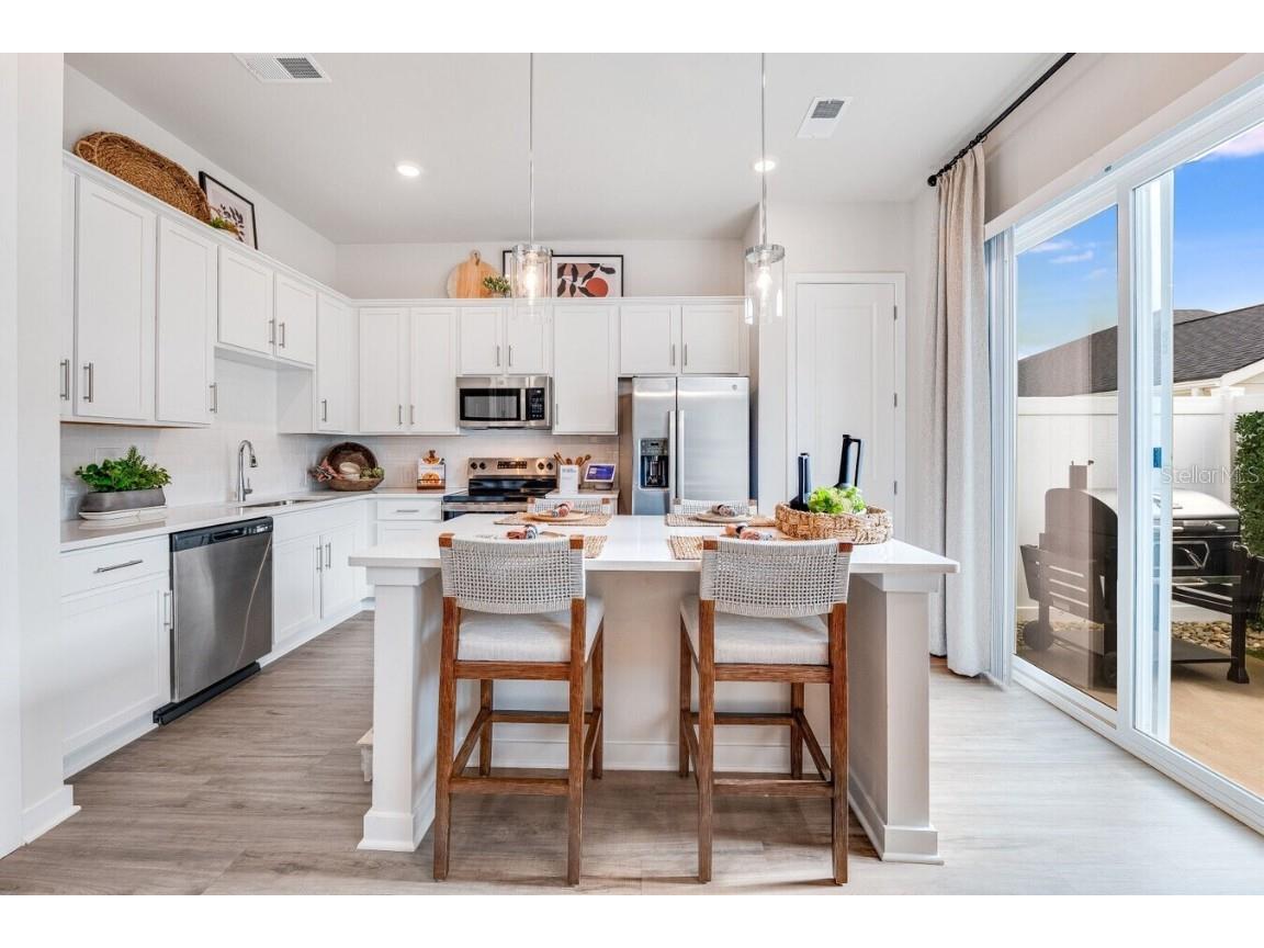 2507 Koji Street #ASPIRE Mount Dora FL 32757 O6356274 image8