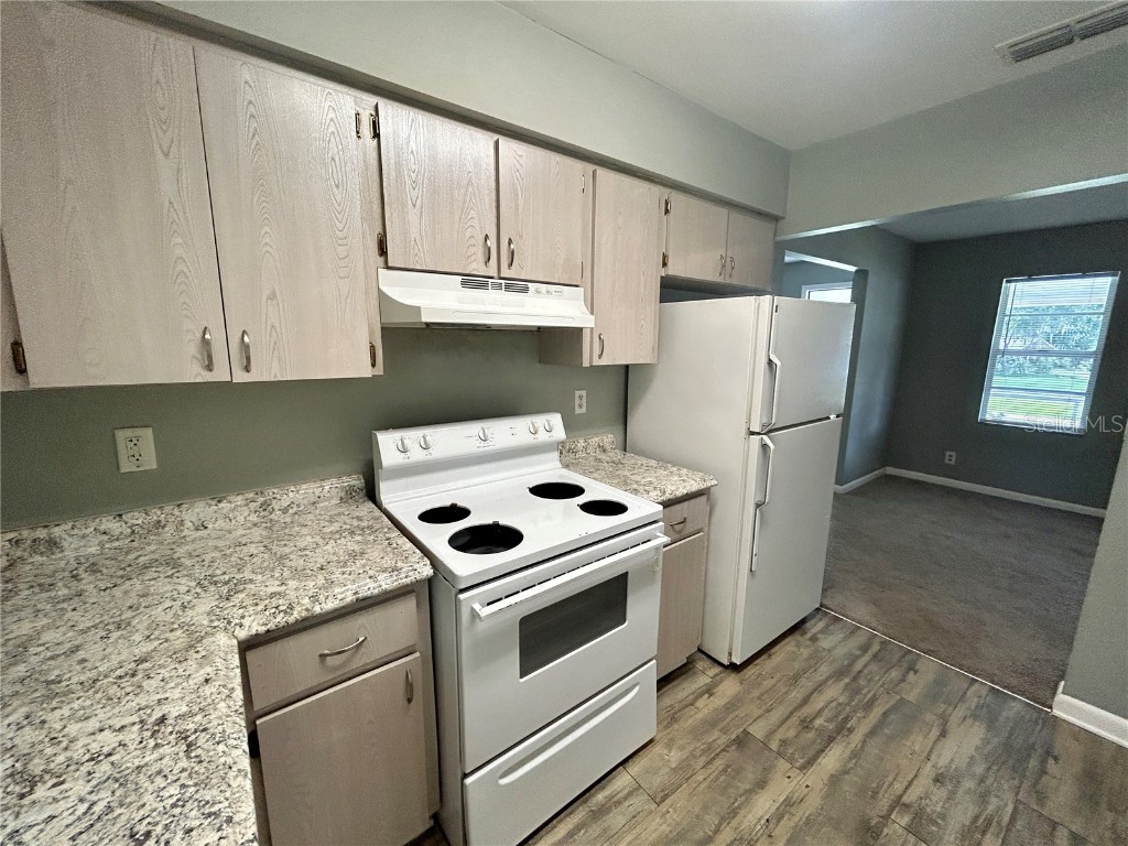 2507 S Lenna Avenue Seffner FL 33584 TB8446351 image11