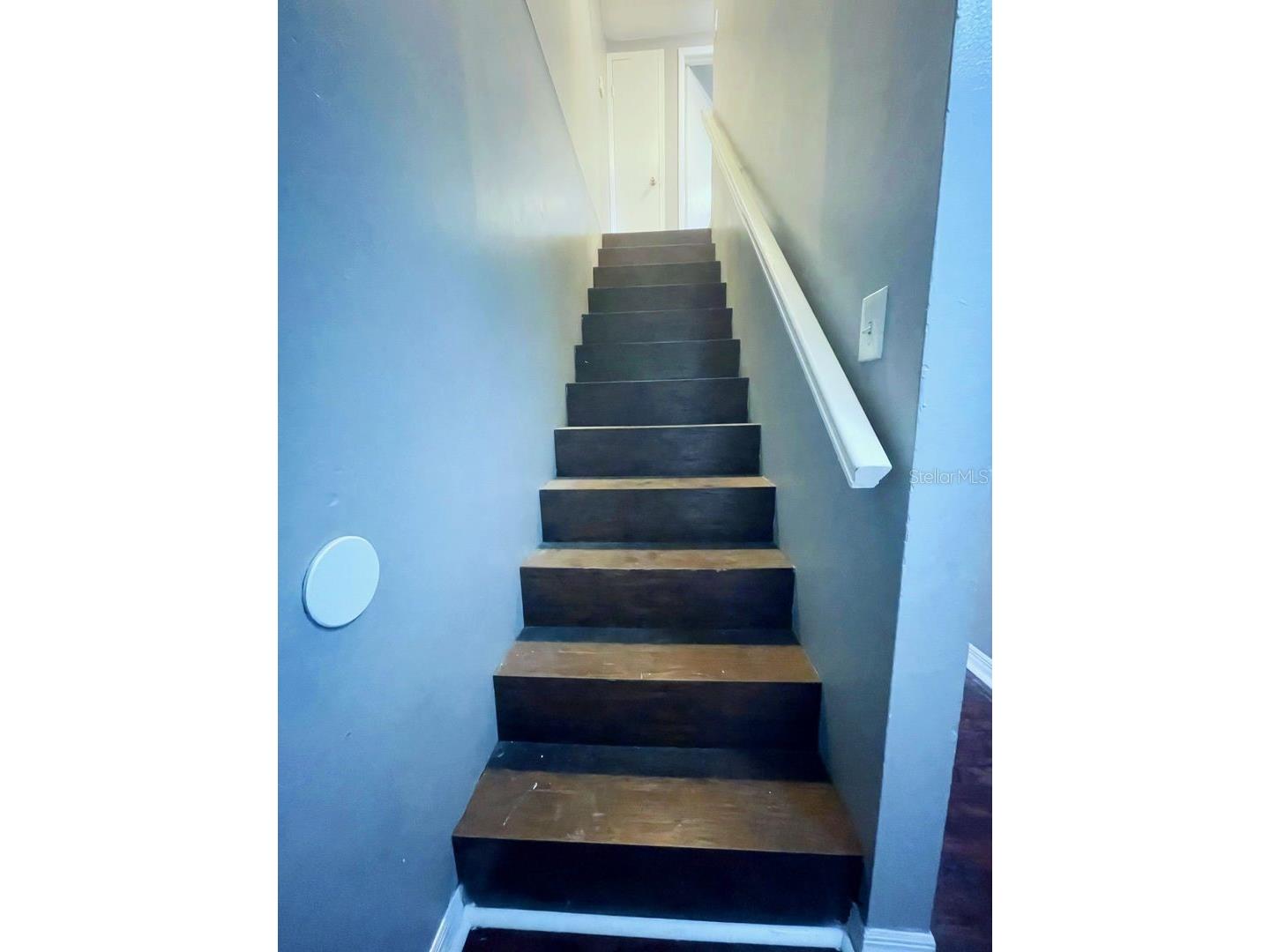 2507 W Virginia Avenue #D Tampa FL 33607 TB8454296 image4