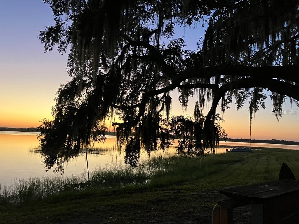 25079 NE 140th Loop Salt Springs FL 32134 - LITTLE LAKE KERR GC538761 image21