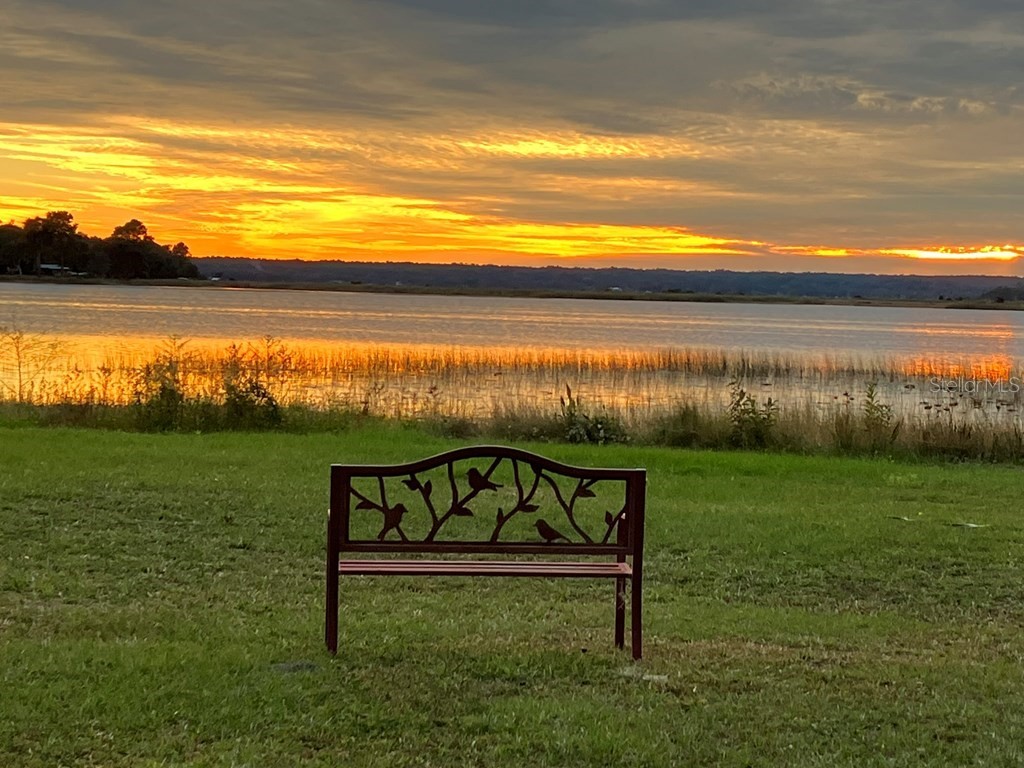 25079 NE 140th Loop Salt Springs FL 32134 - LITTLE LAKE KERR GC538761 image23