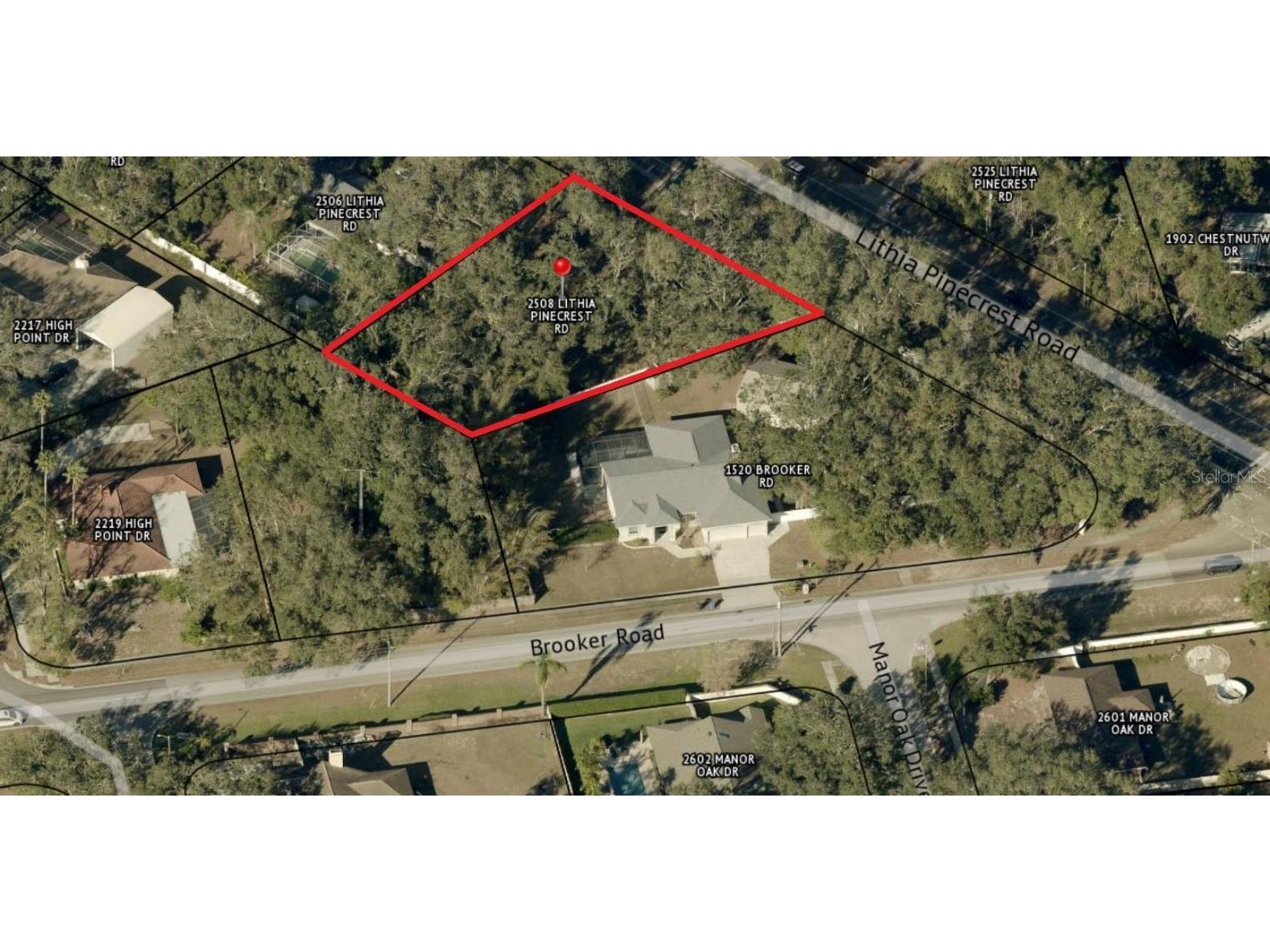 2508 Lithia Pinecrest Road Valrico FL 33596 O6315950 image1