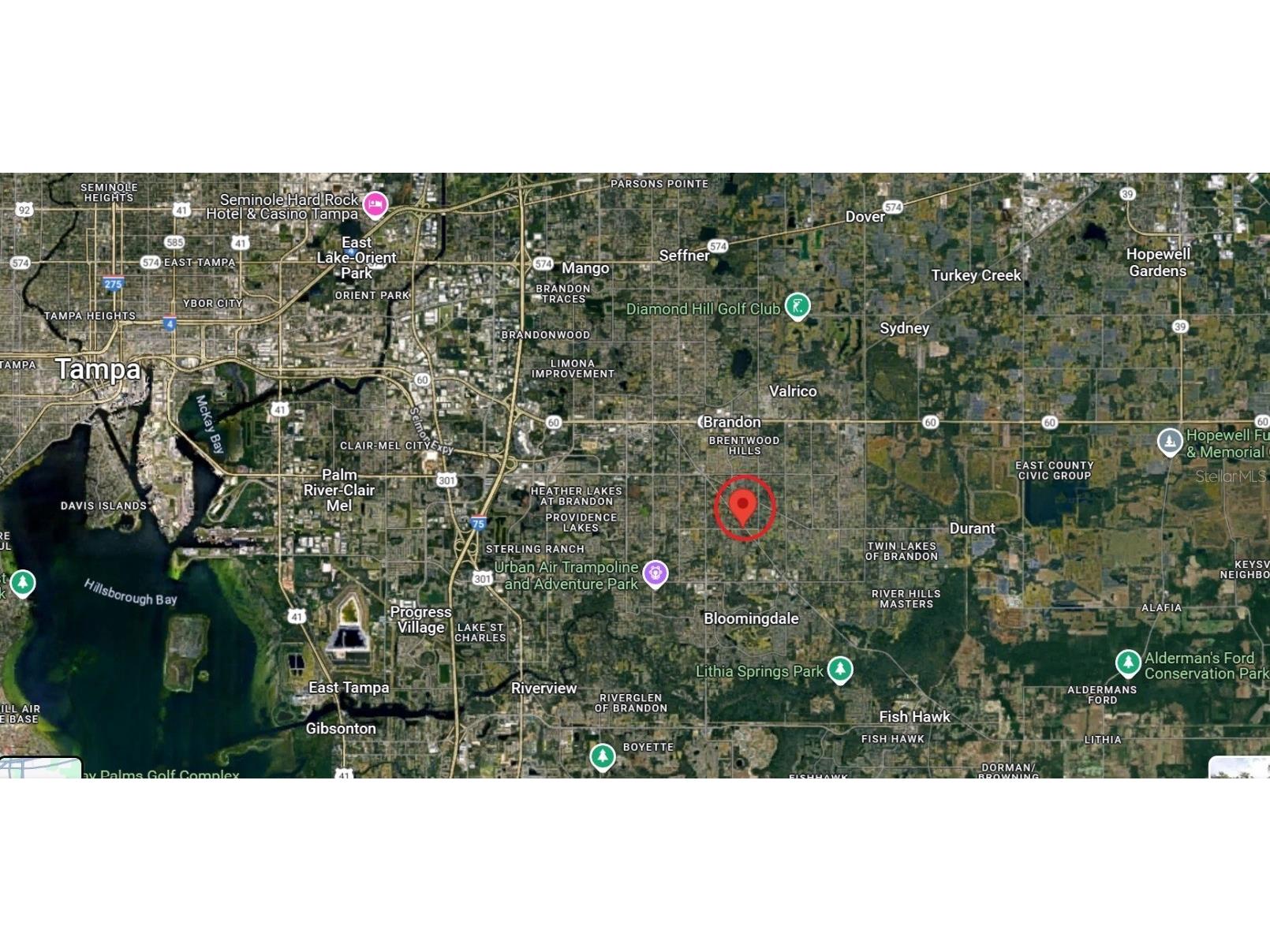 2508 Lithia Pinecrest Road Valrico FL 33596 O6315950 image2