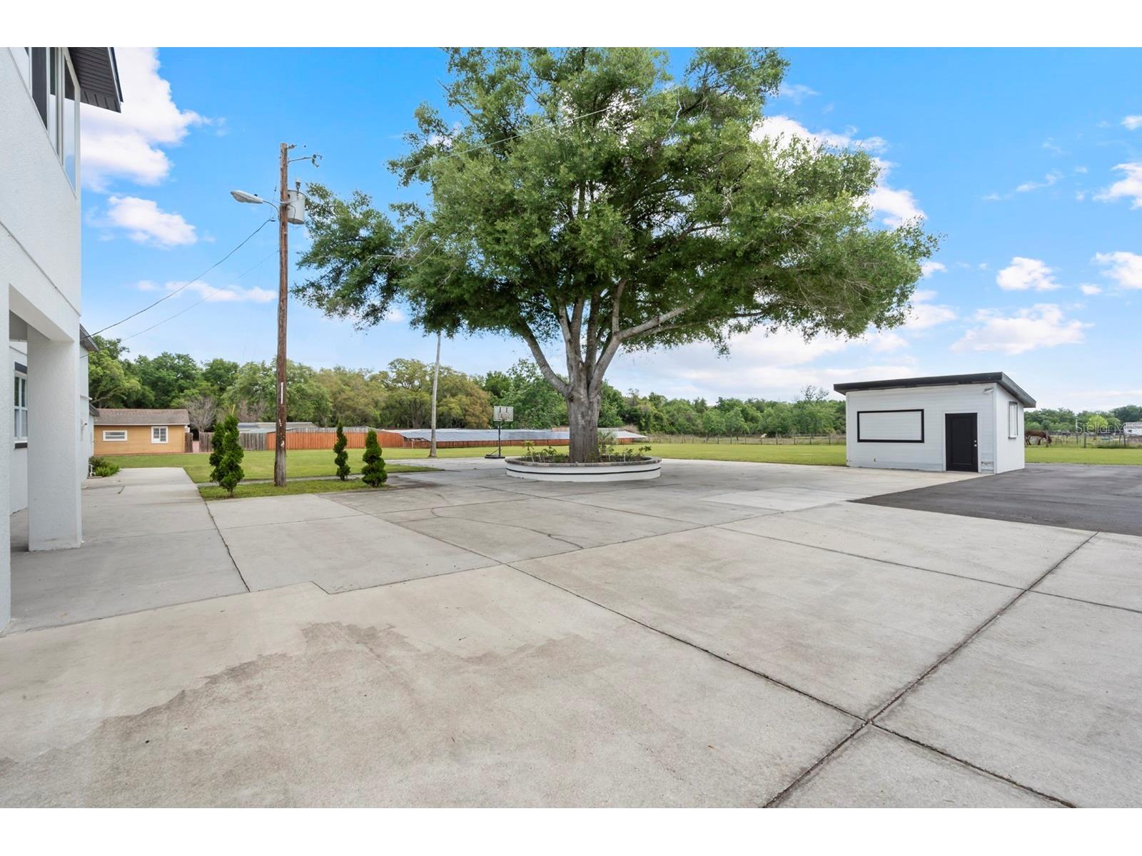 2509 Appy Lane Apopka FL 32712 O6397306 image6