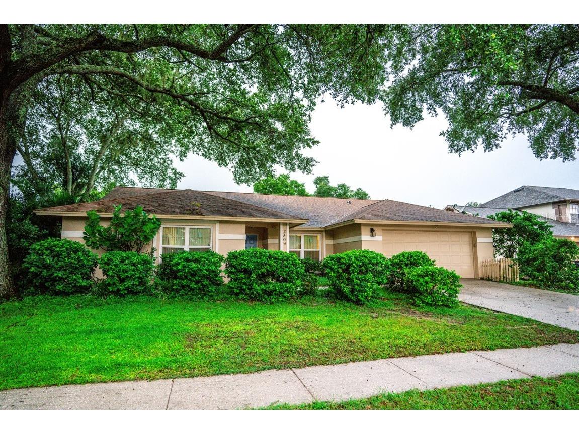 2509 Arborwood Drive Valrico FL 33596 T3552241 image1