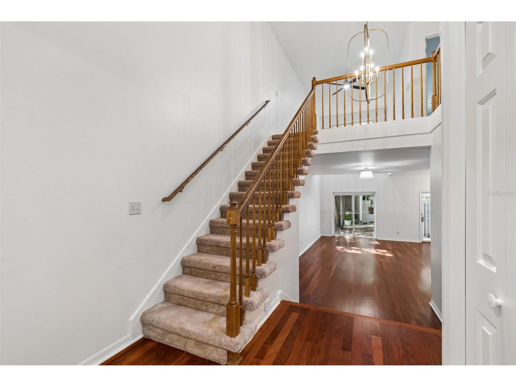 2509 Crowder Lane #13 Tampa FL 33629 TB8510728 image6