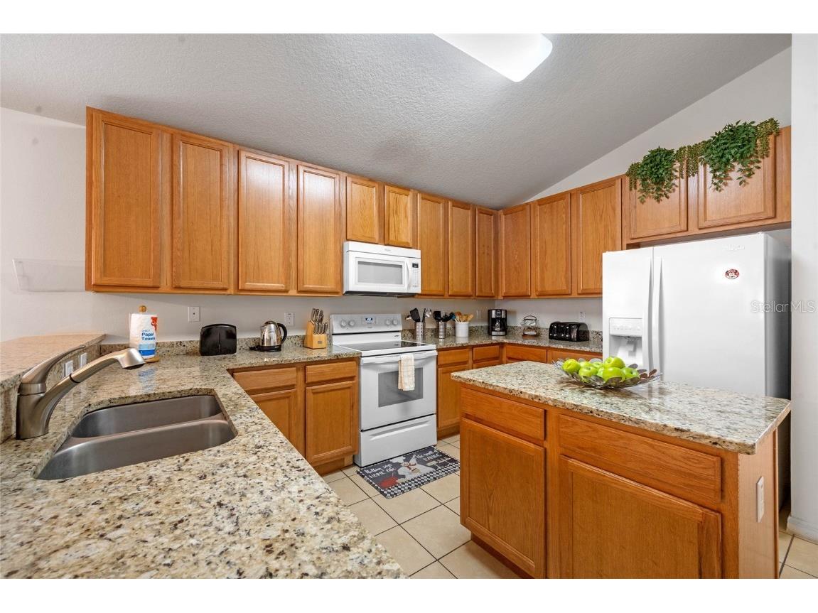 2509 Dharma Circle Kissimmee FL 34746 O6360825 image13