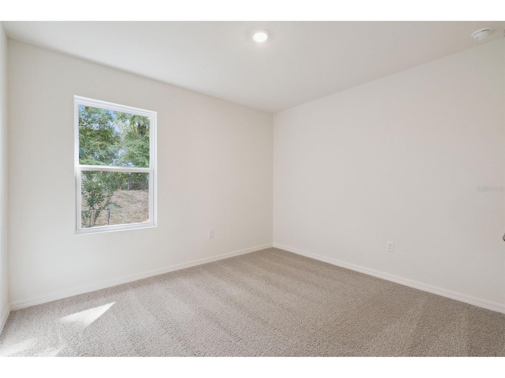 2509 Dorset Court Ormond Beach FL 32174 O6425338 image12