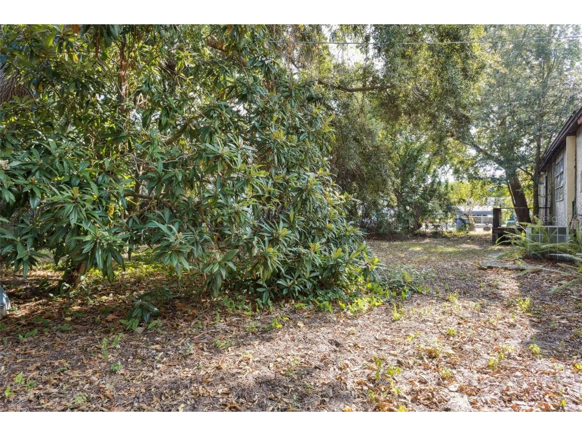 2509 Emma Circle Tampa FL 33614 TB8451350 image5