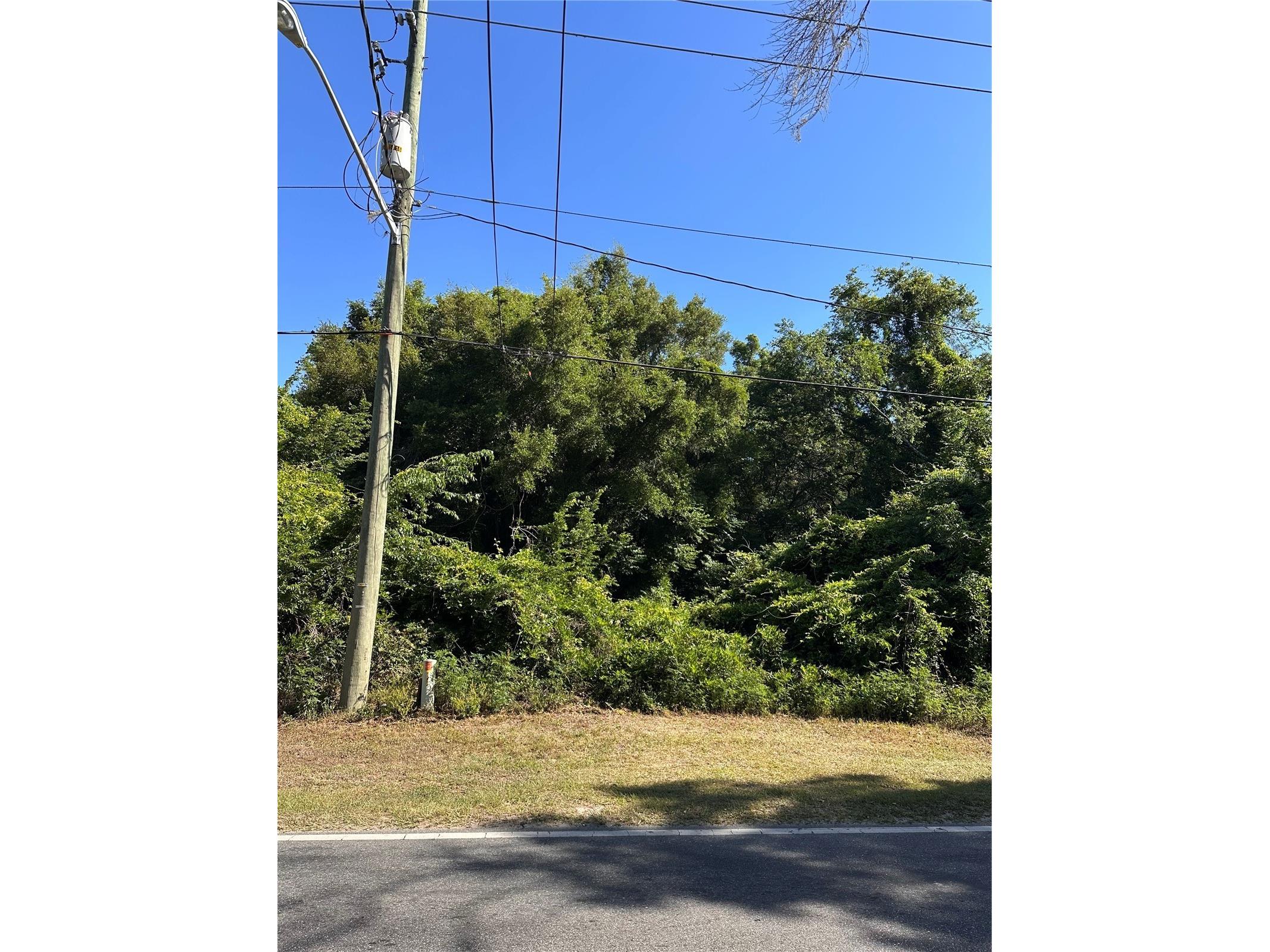 2509 NW 21st Street Ocala FL 34475 OM723133 image1